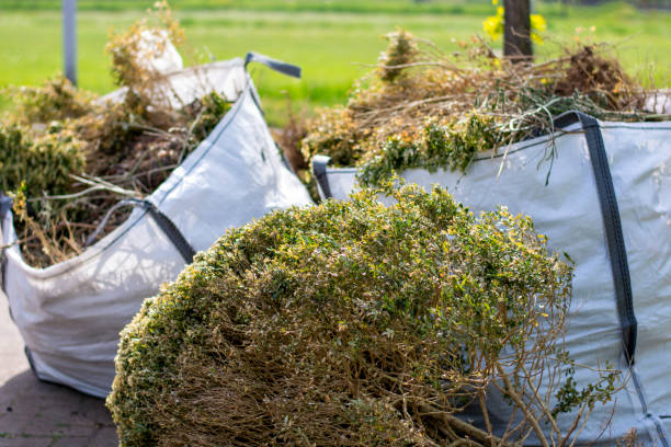 Best Attic Cleanout  in Hines, OR